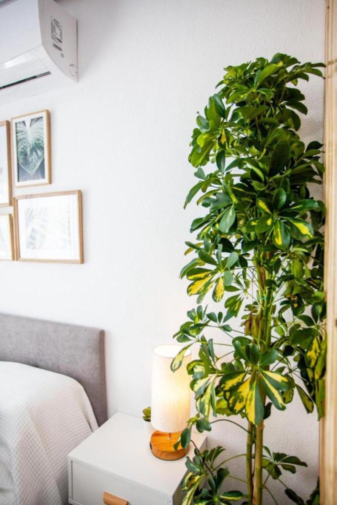 רוחאלס Ole Studio Apartment מראה חיצוני תמונה